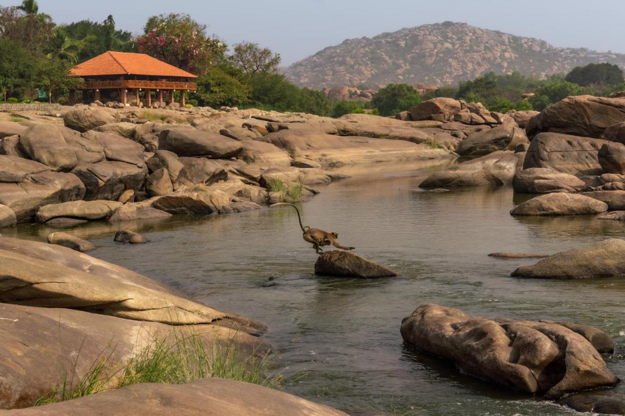 Leo Wodden Resort Hampi Kültér fotó