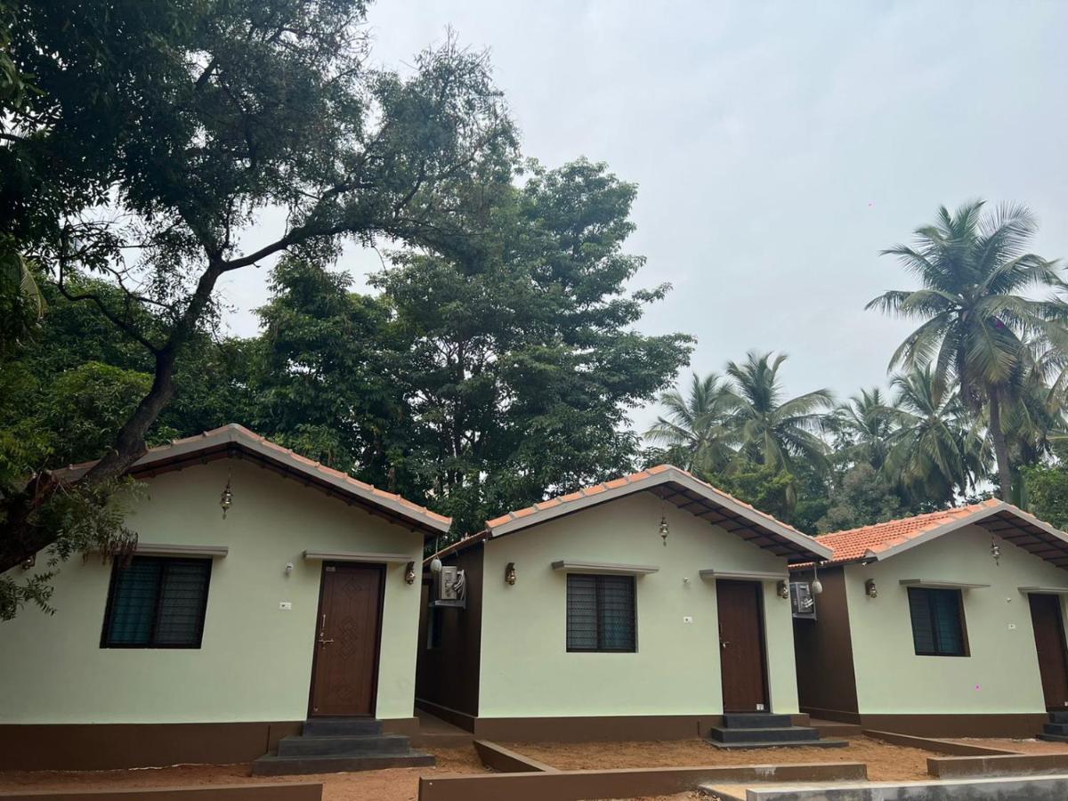 Leo Wodden Resort Hampi Kültér fotó
